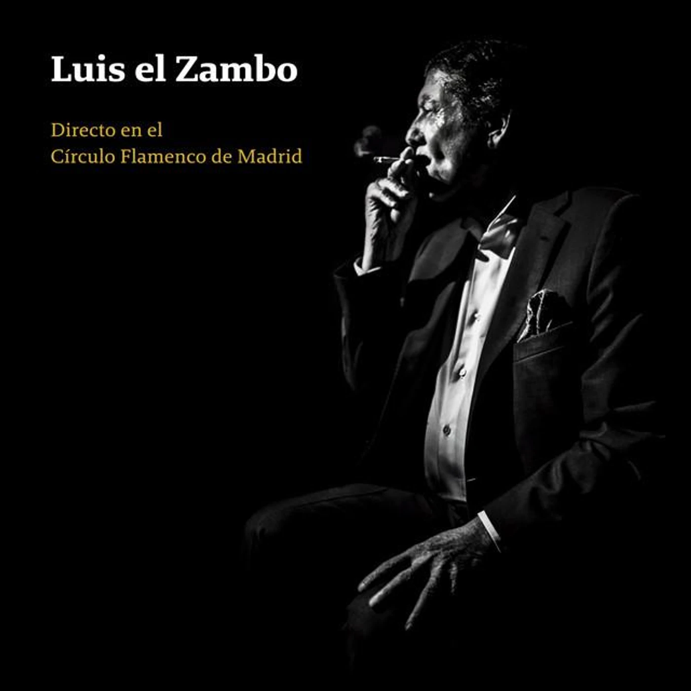 Luis el Zambo