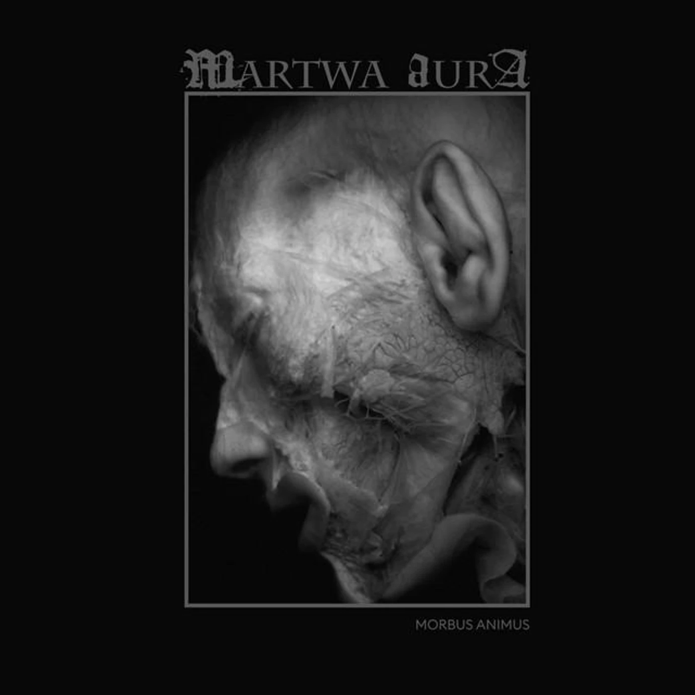 Martwa Aura