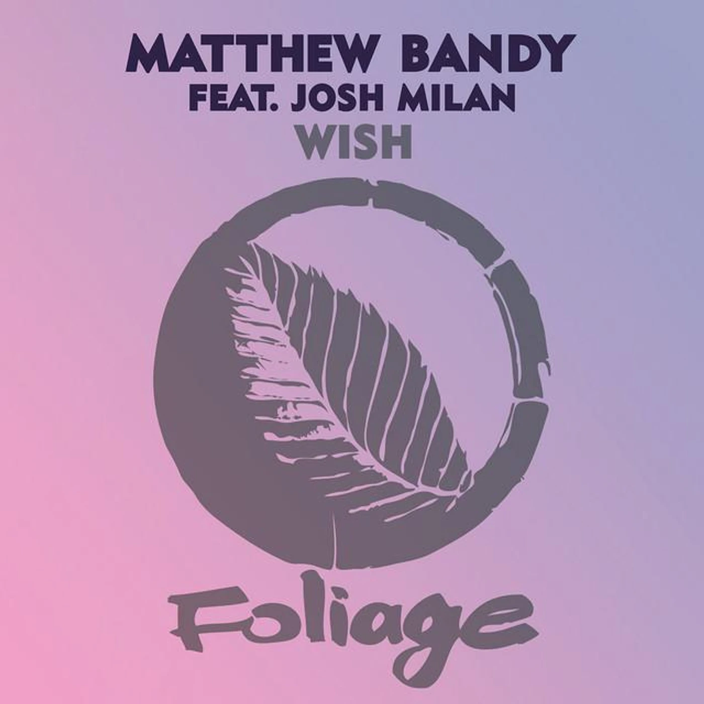 Matthew Bandy