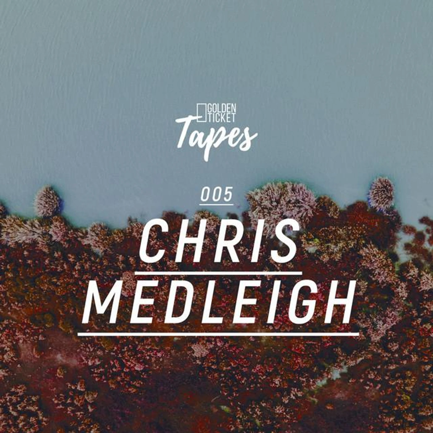 Chris Medleigh