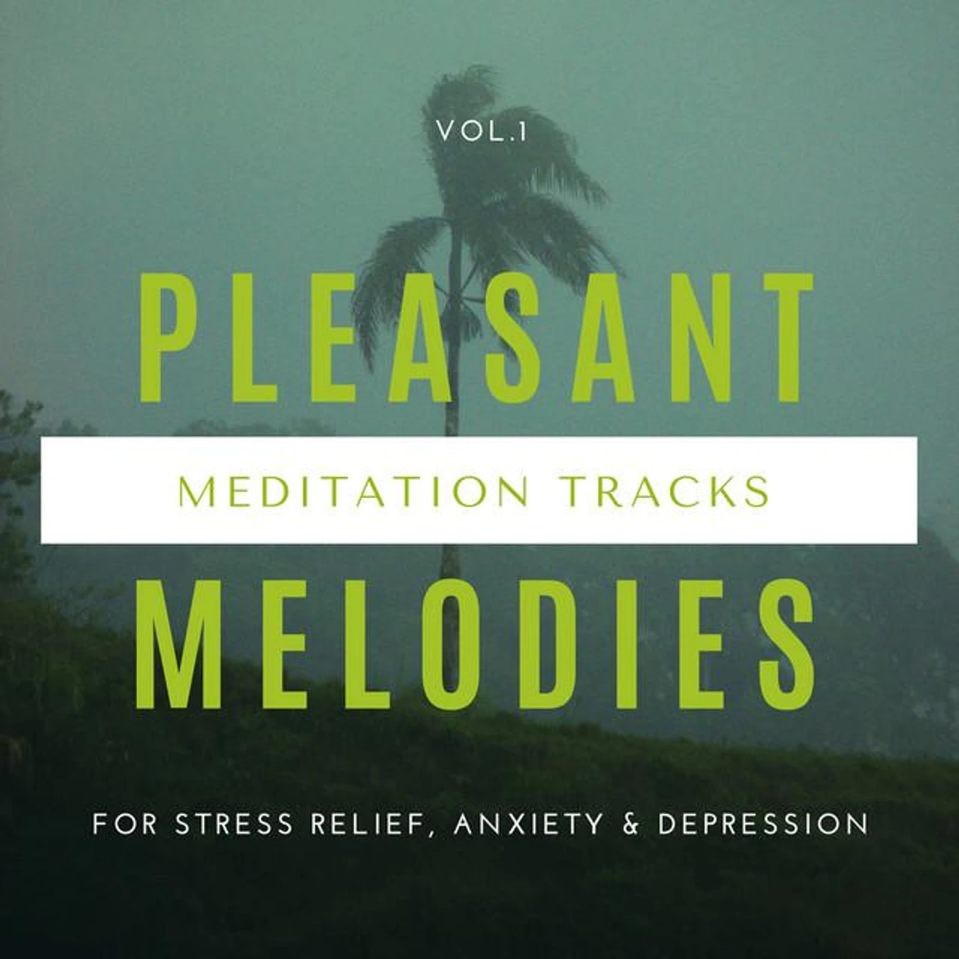 Mind Body Soul Healing and Meditation Ambient Melodies