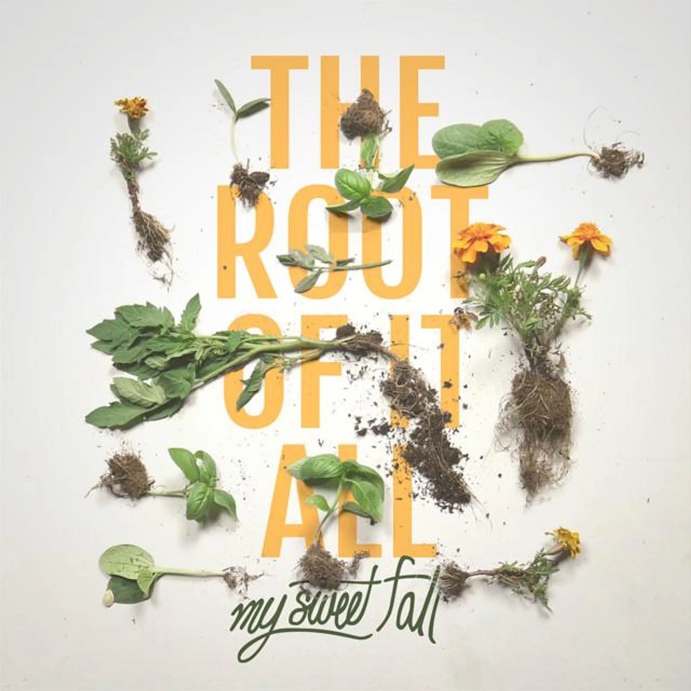 My Sweet Fall