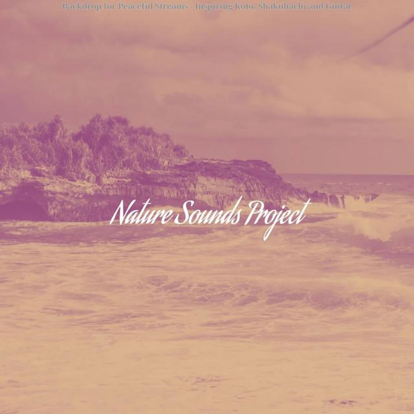 Nature Sounds Project