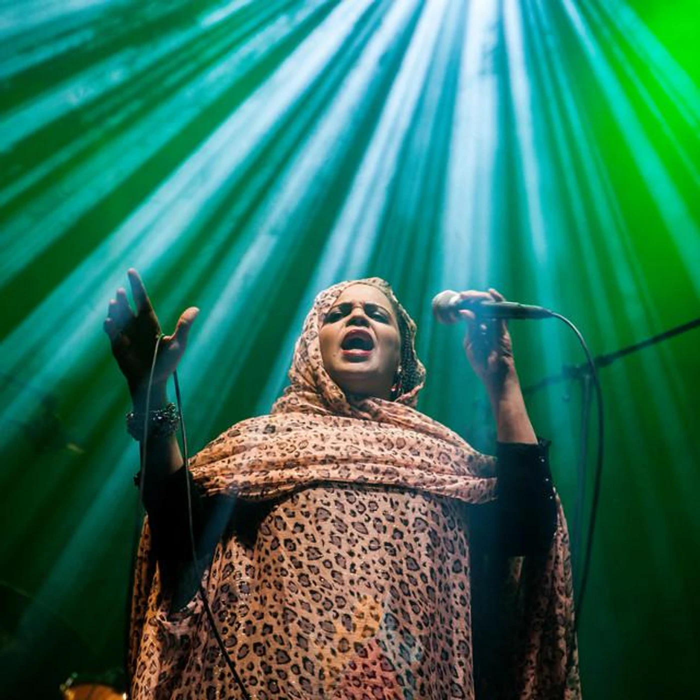 Noura Mint Seymali