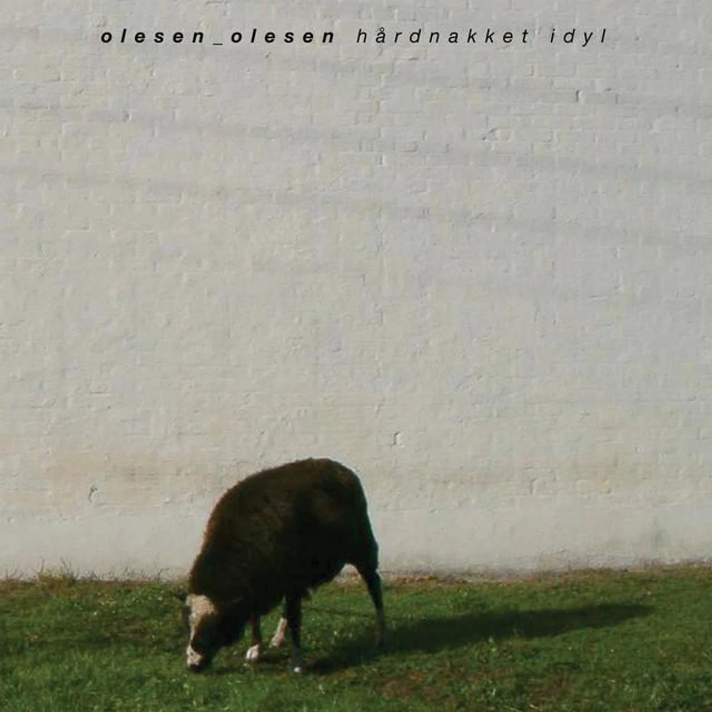 Olesen-Olesen