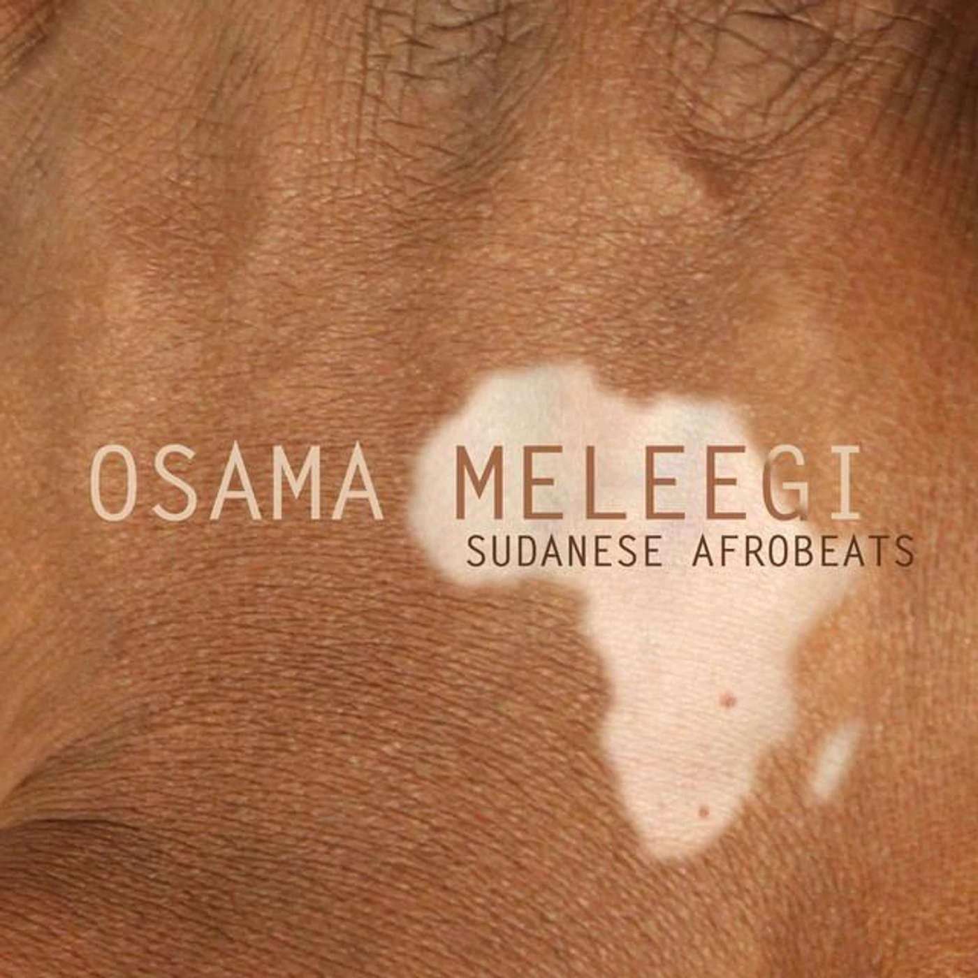 Osama Meleegi