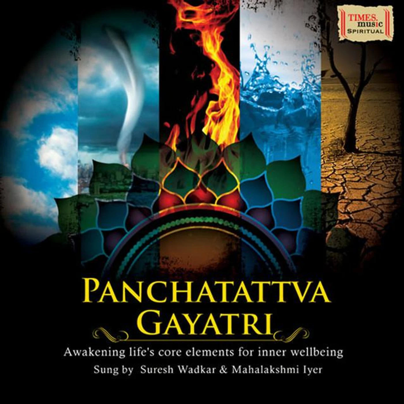 Pandit Ronu Majumdar, Shailesh Dani