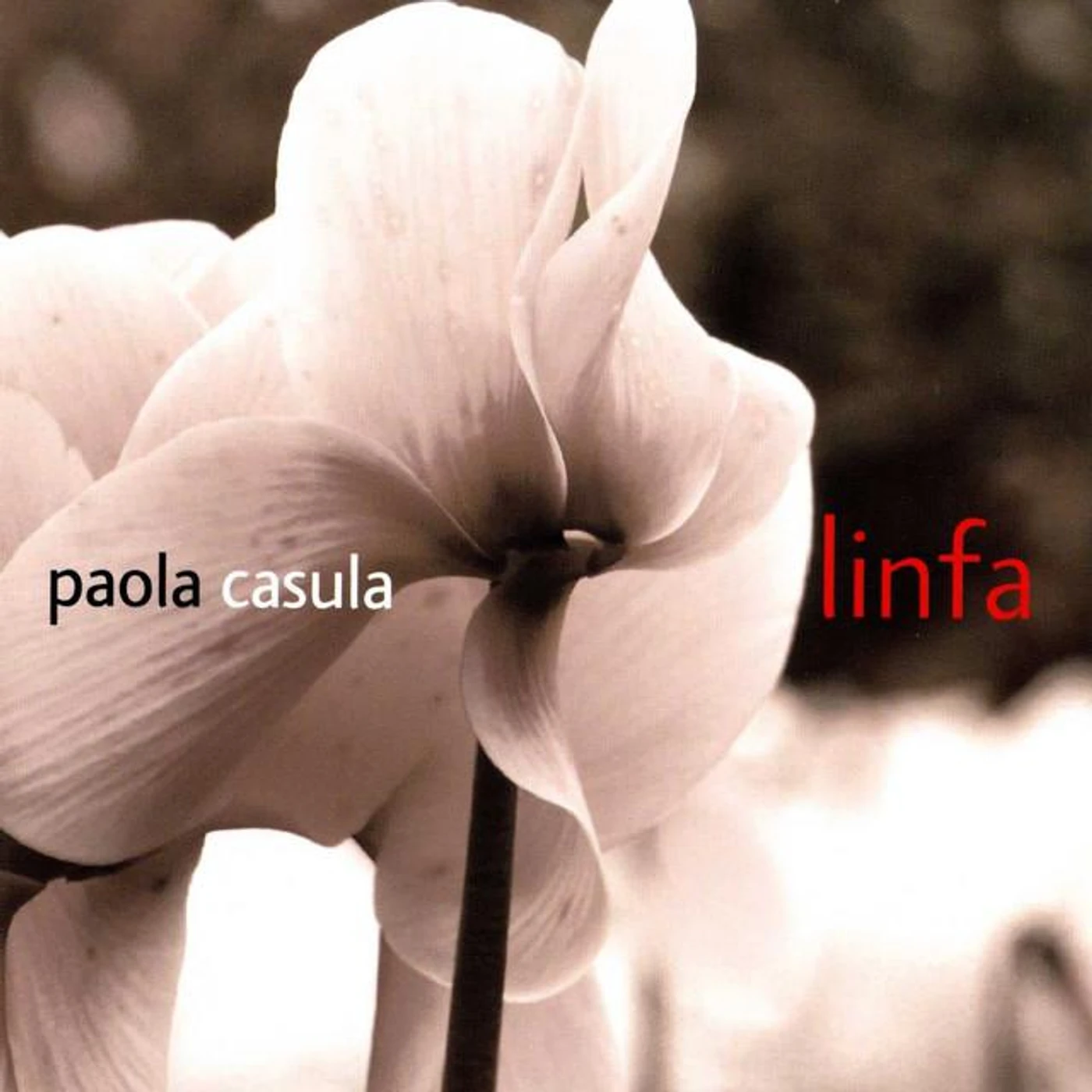 Paola Casula