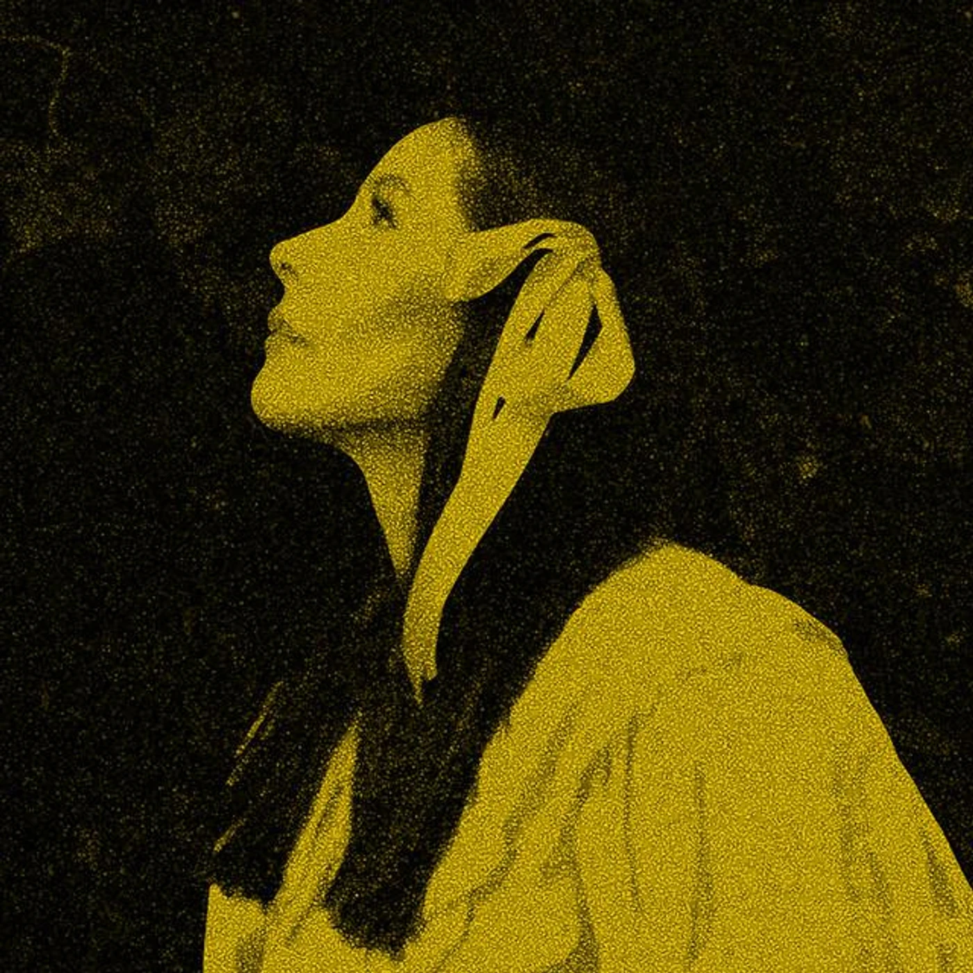 Nerina Pallot