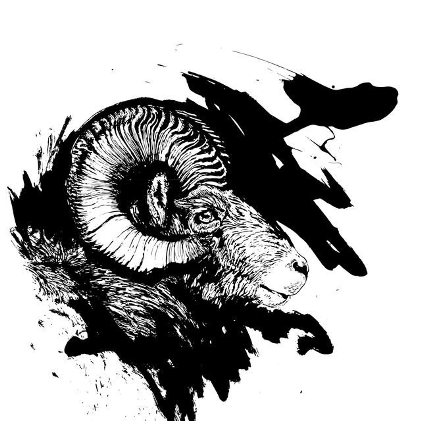 Para establecer un Rio