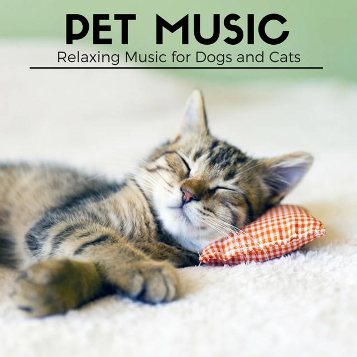 Pet Music Maestro
