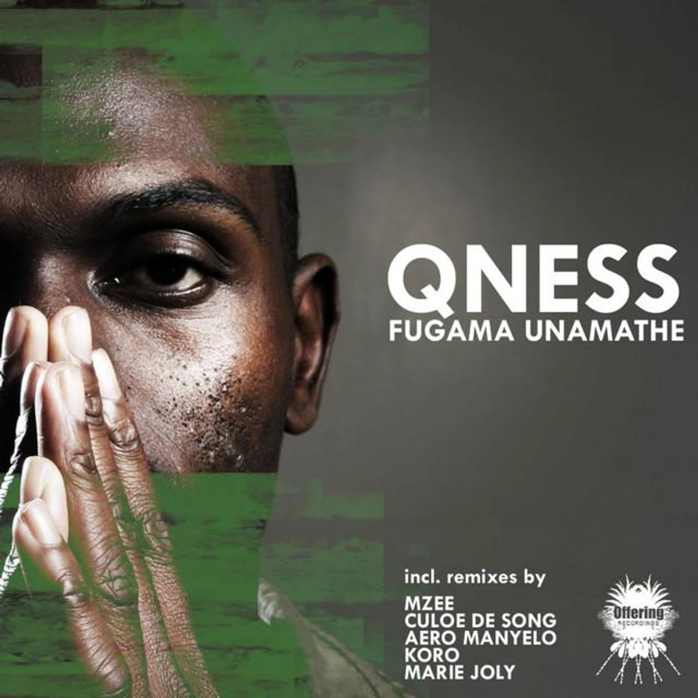 Qness