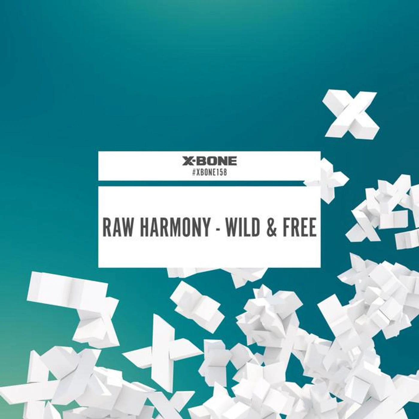 Raw Harmony