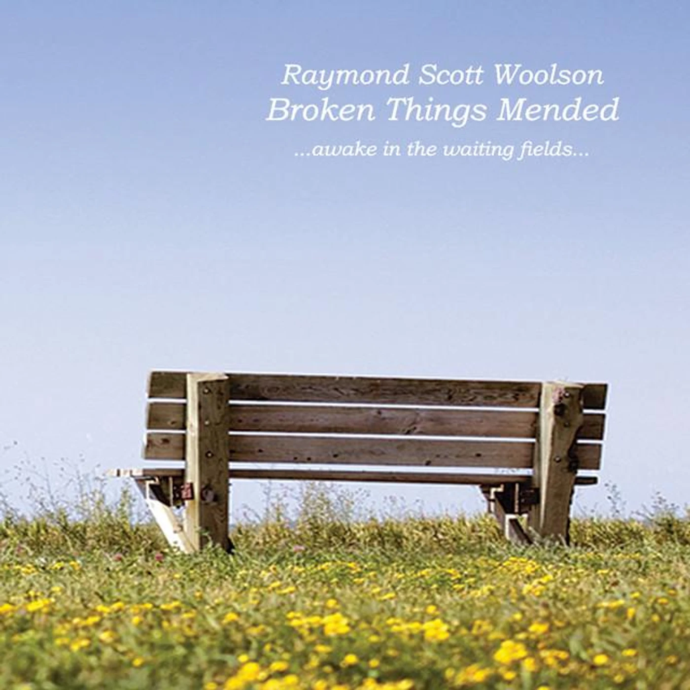 Raymond Scott Woolson