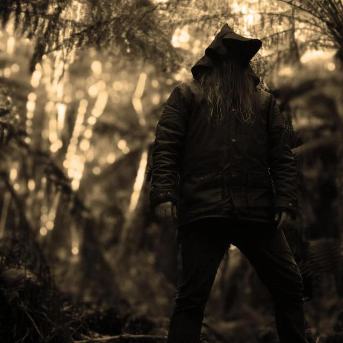Rebel Wizard