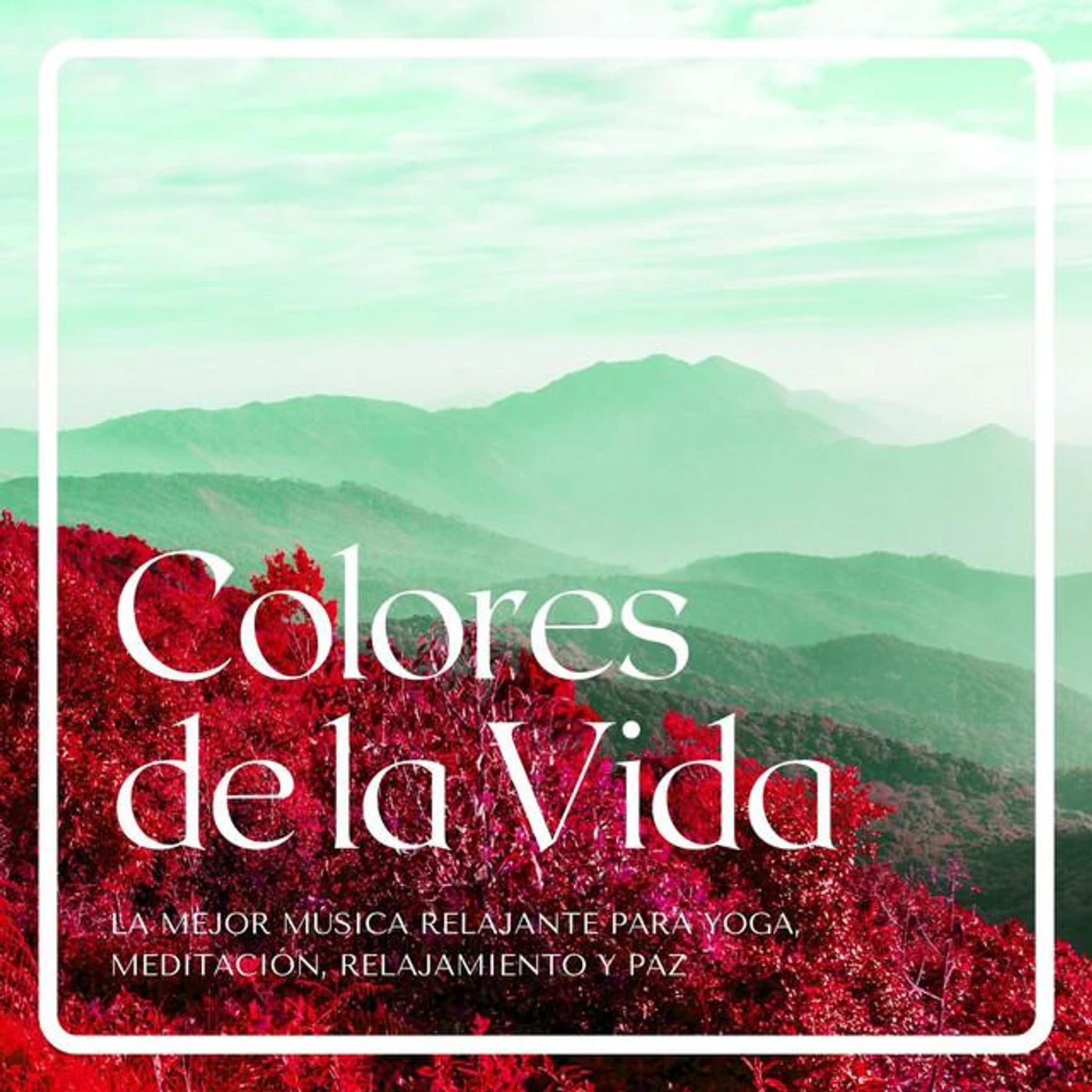 Relajación y Serenidad