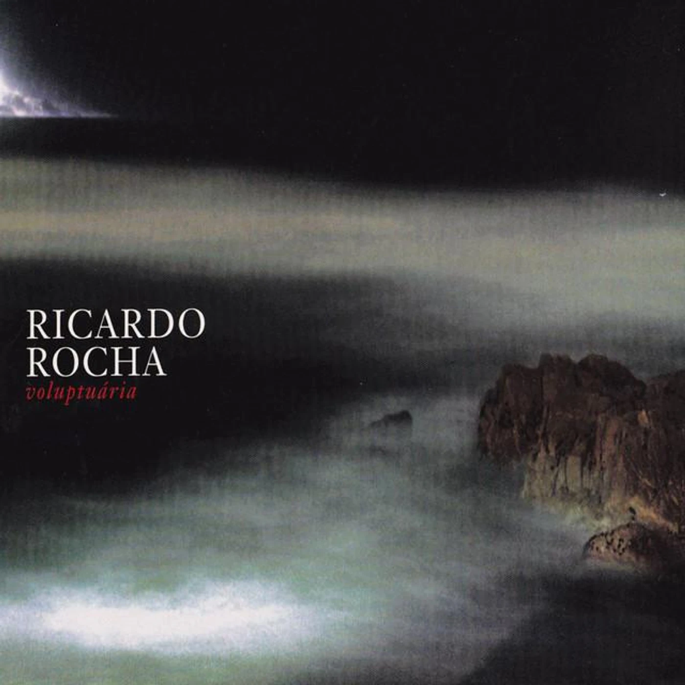 Ricardo Rocha