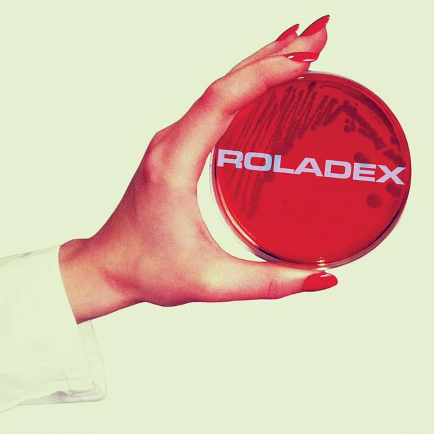 Roladex