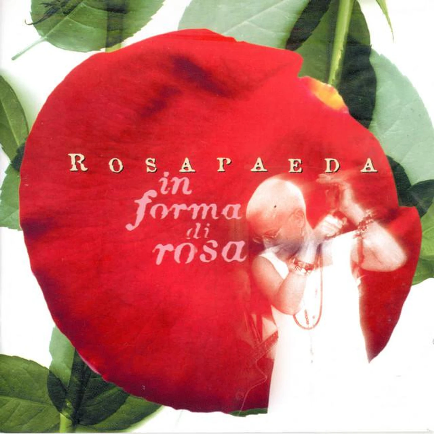 Rosapaeda