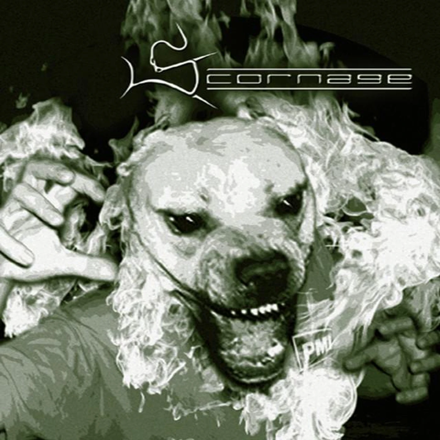 Scornage