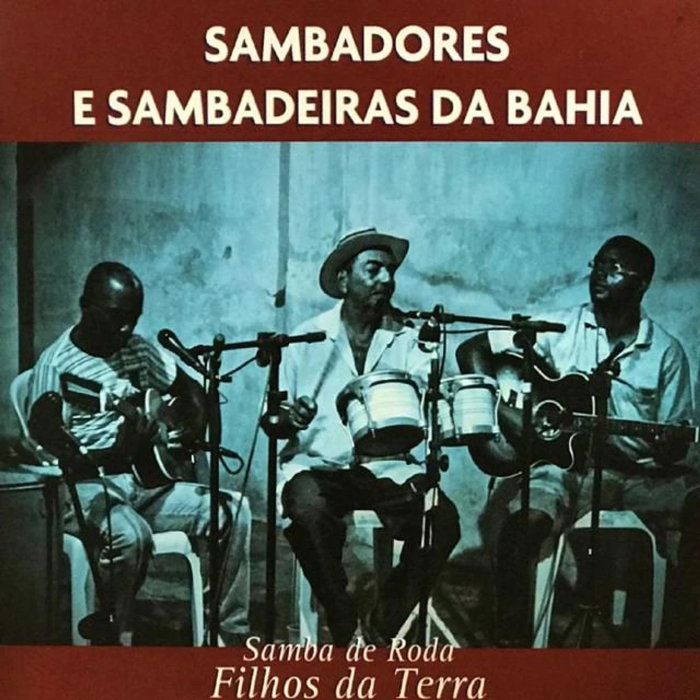 Samba de Roda Filhos da Terra