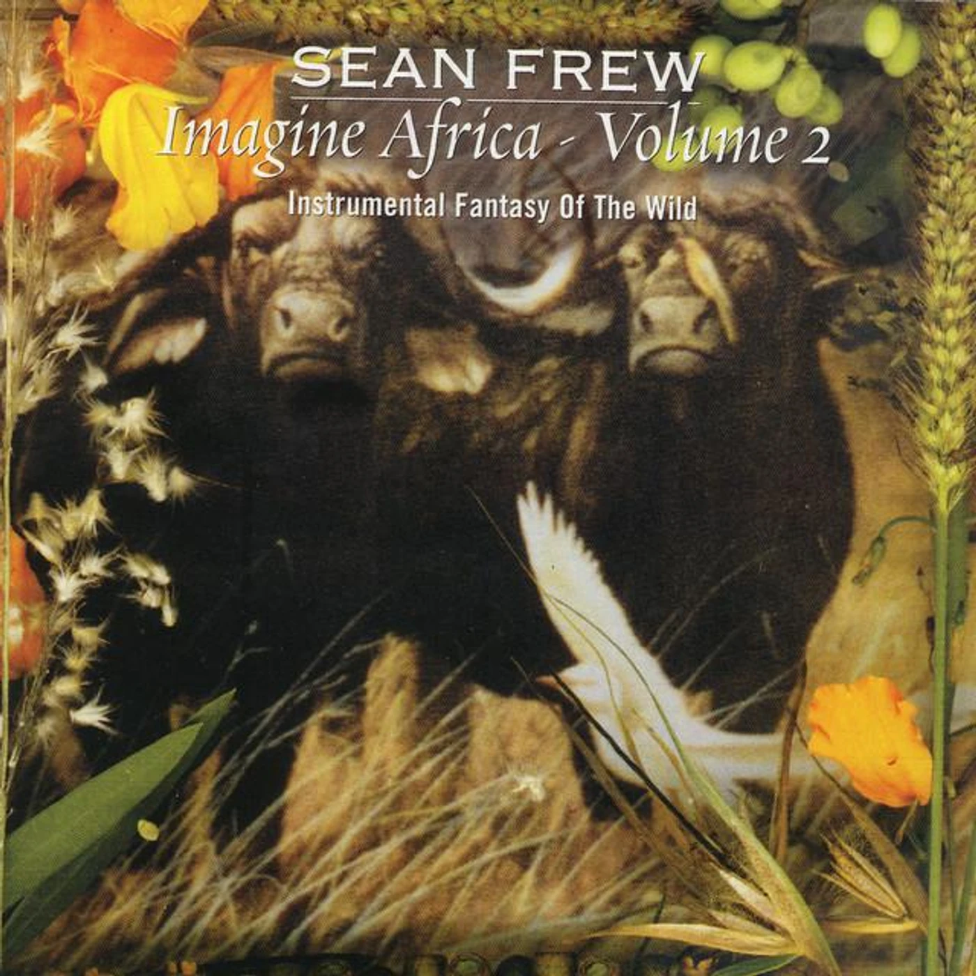 Sean Frew