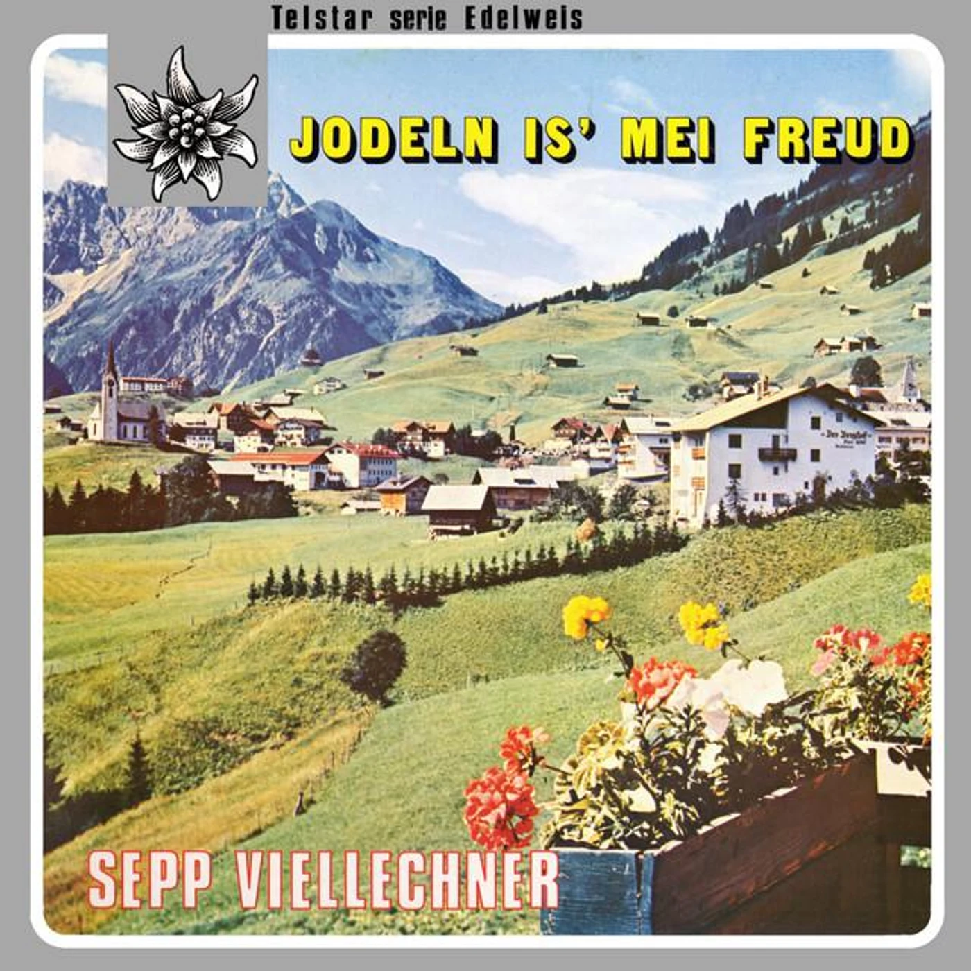 Sepp Viellechner