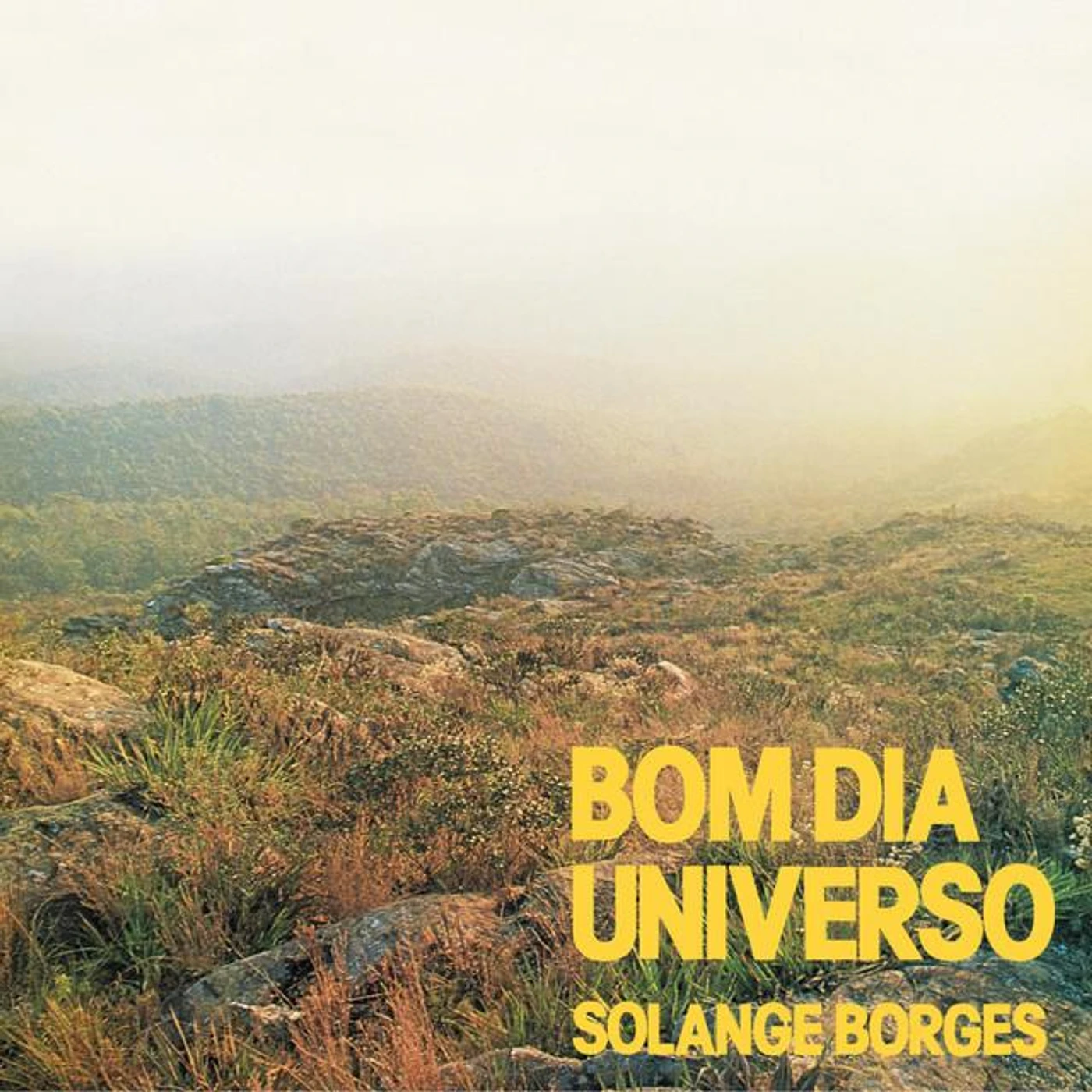 Solange Borges
