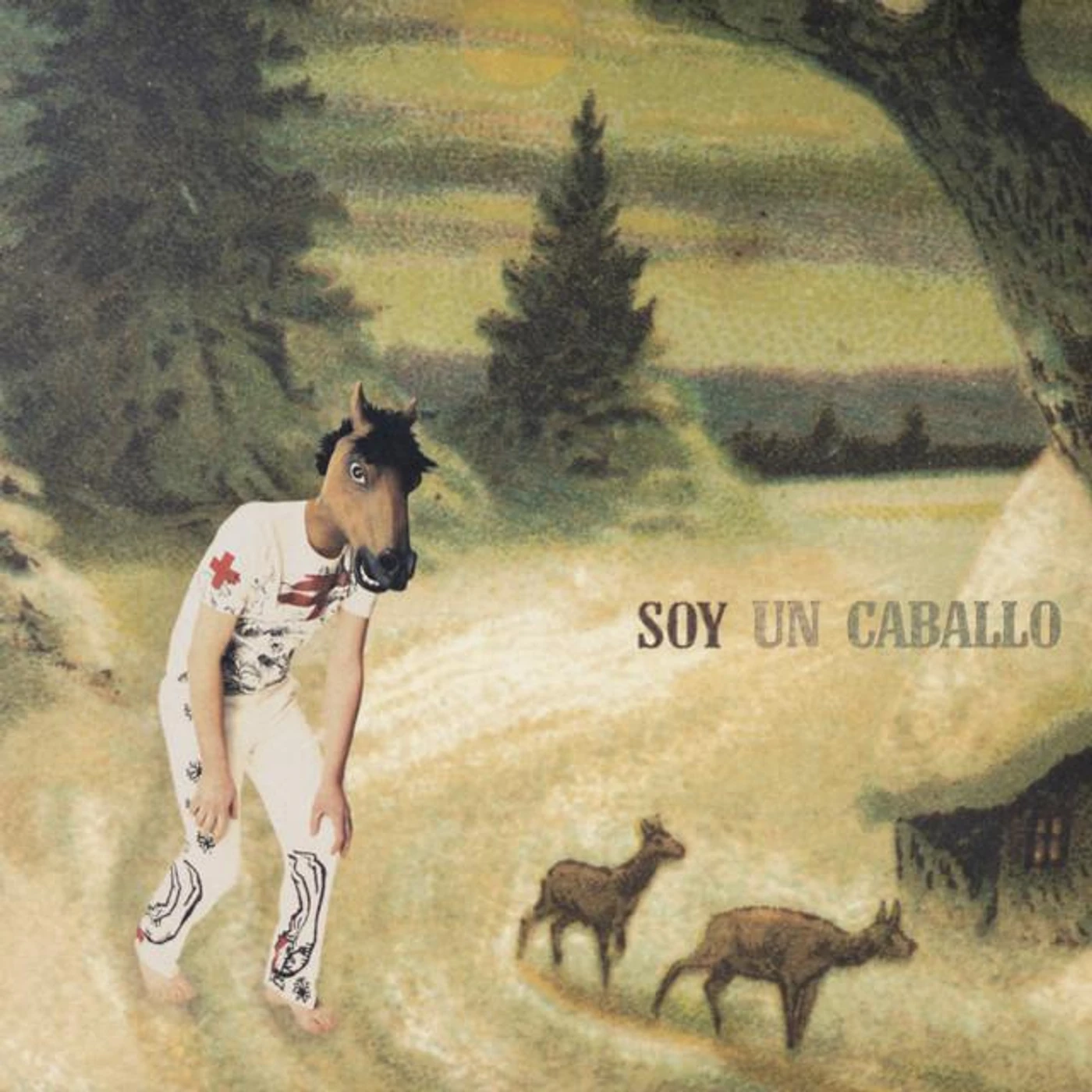 Soy Un Caballo