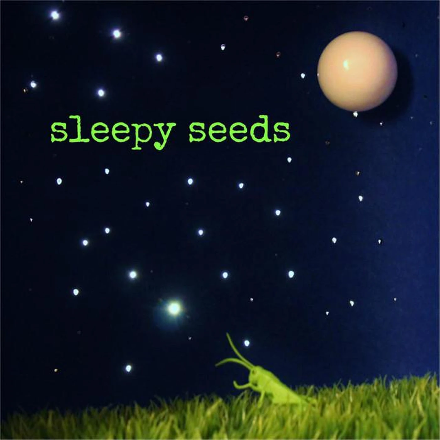 Sleepy Seeds