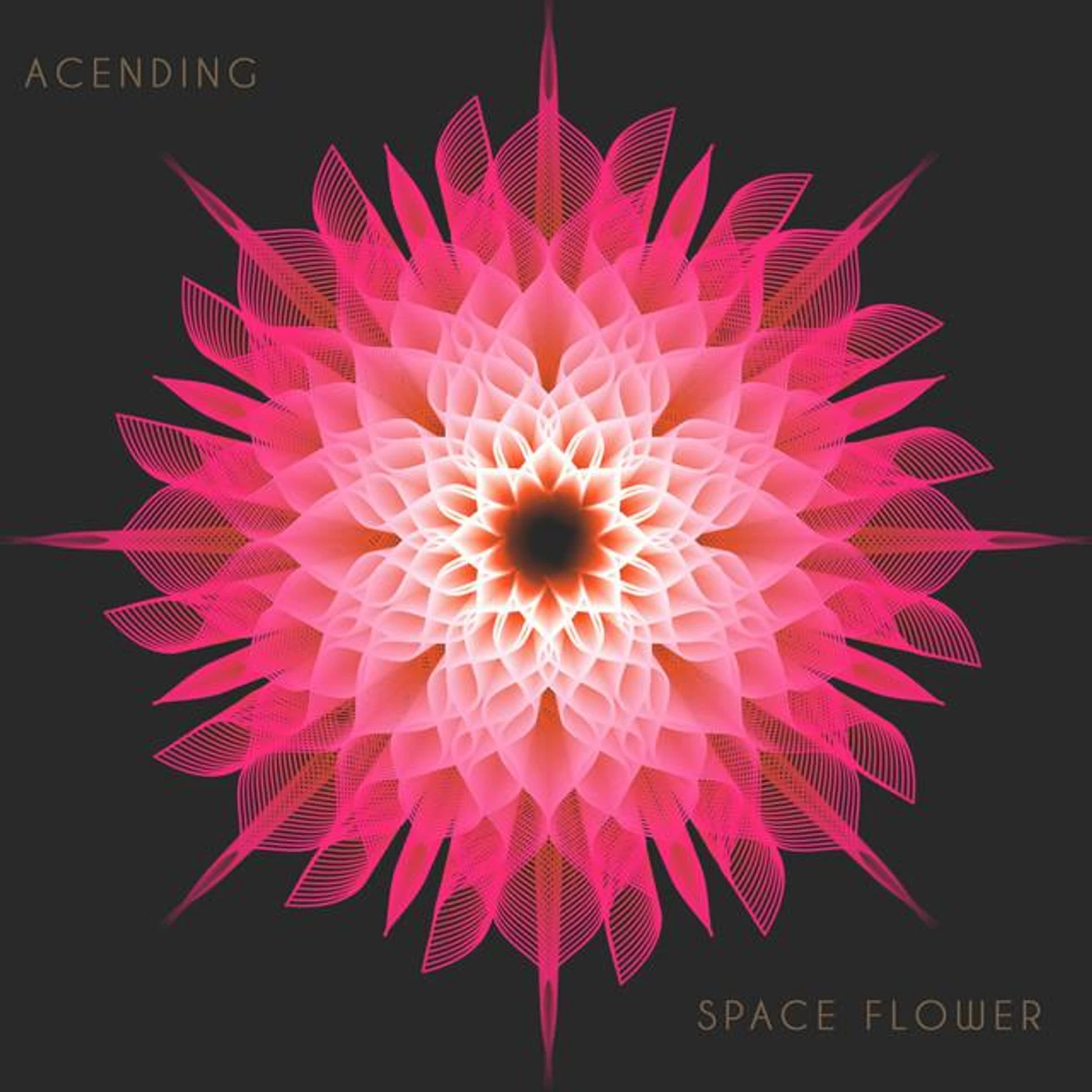 Space flower