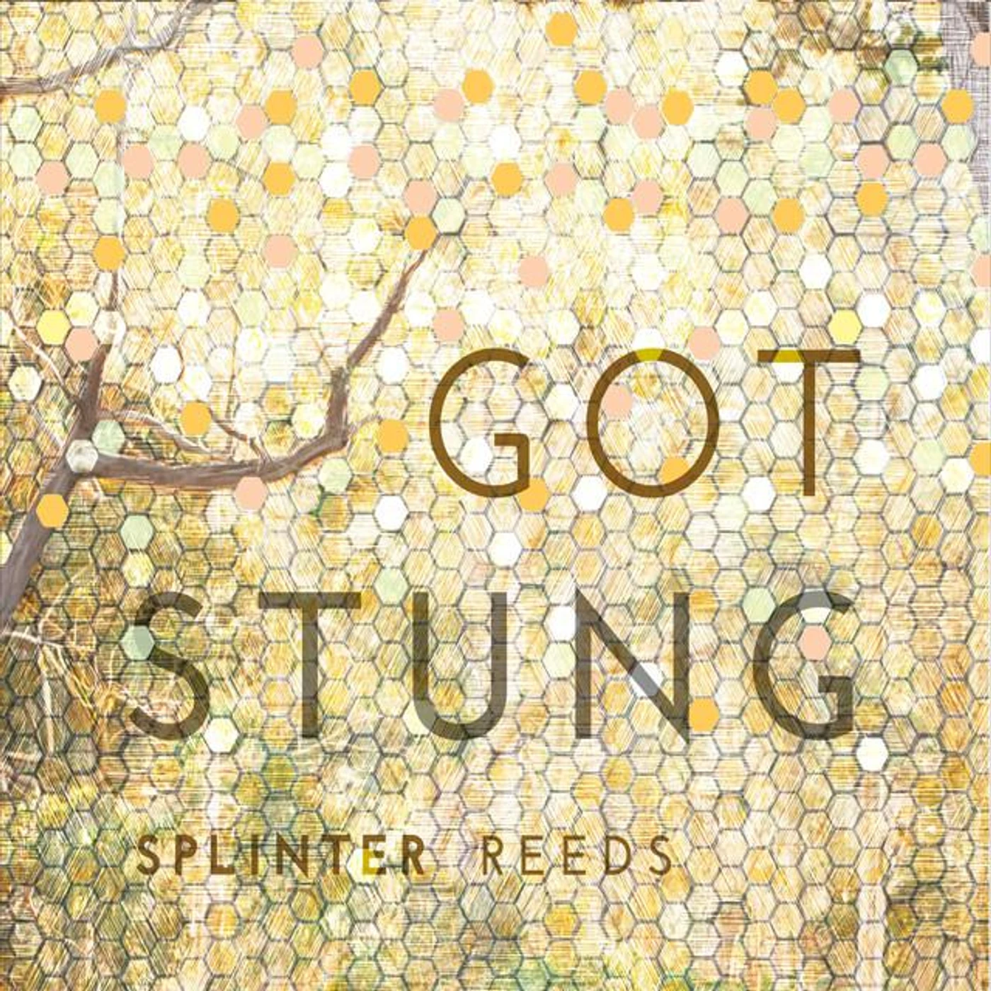Splinter Reeds