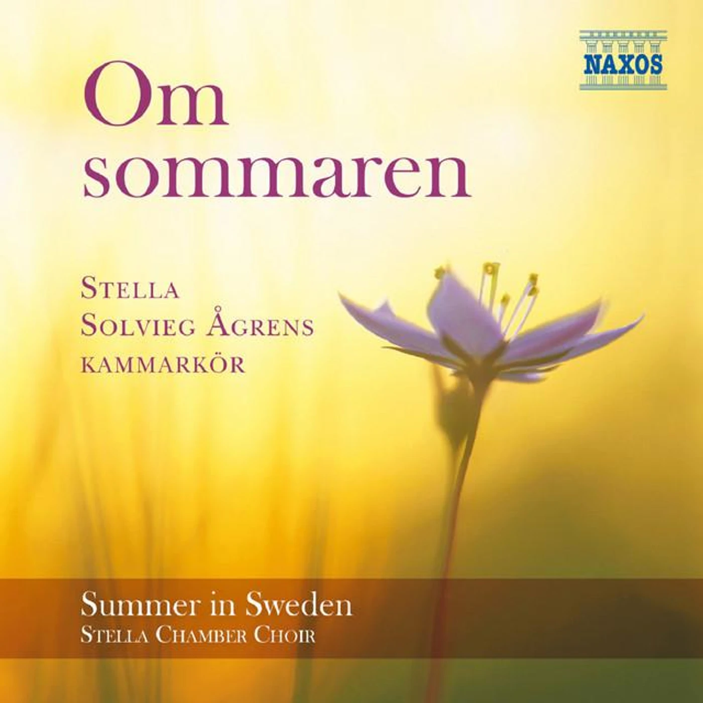 Stella Chamber Choir