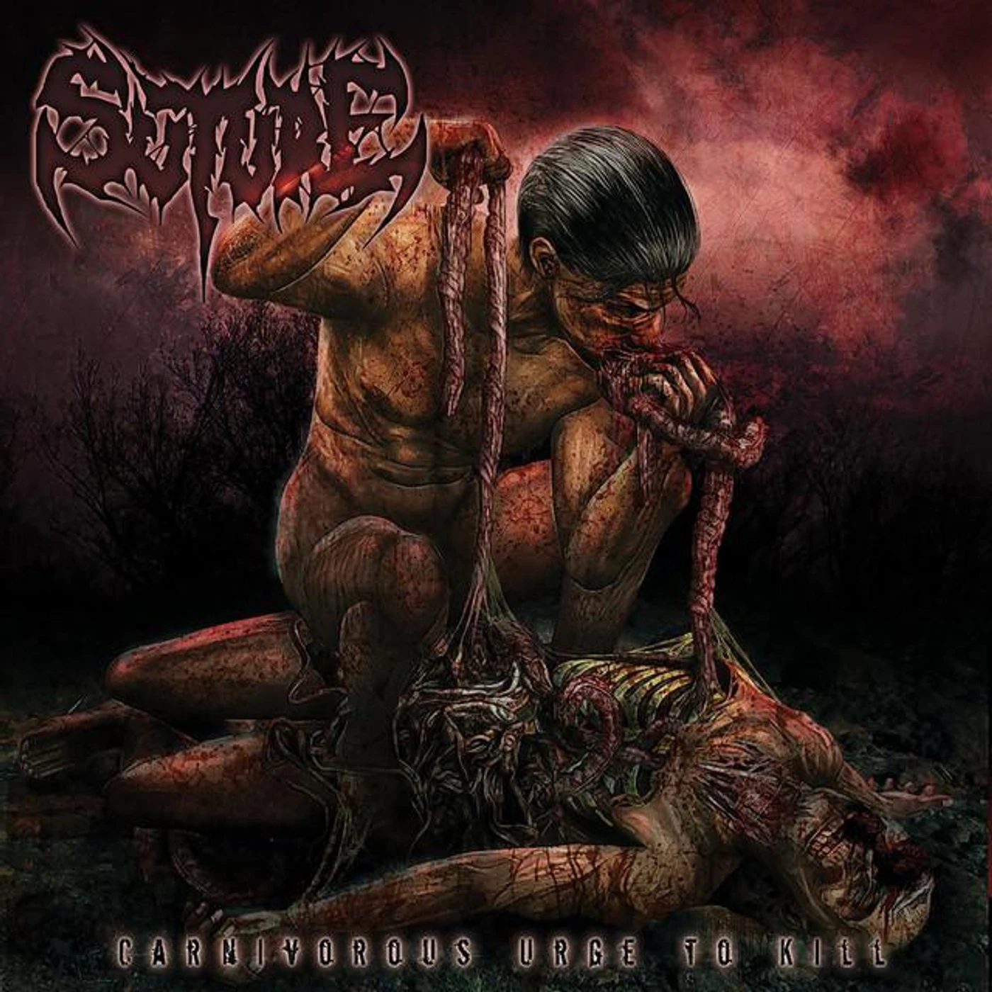 Suture