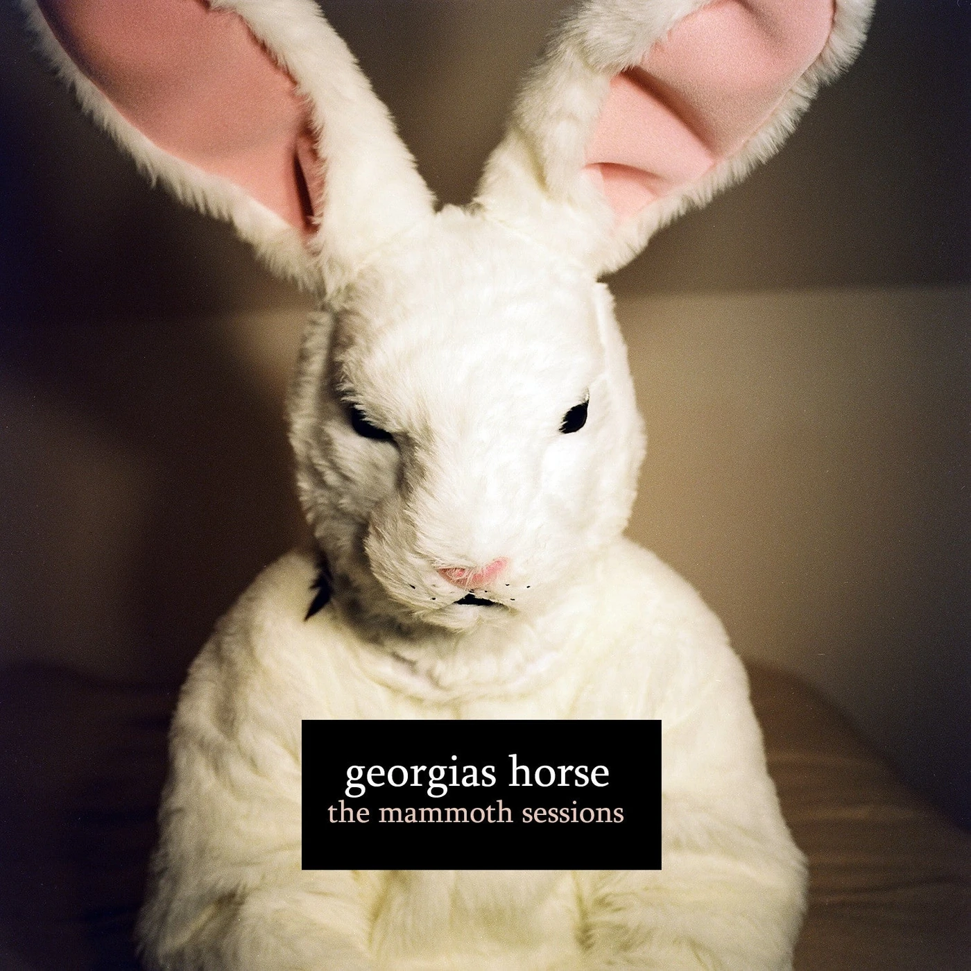 Georgia’S Horse