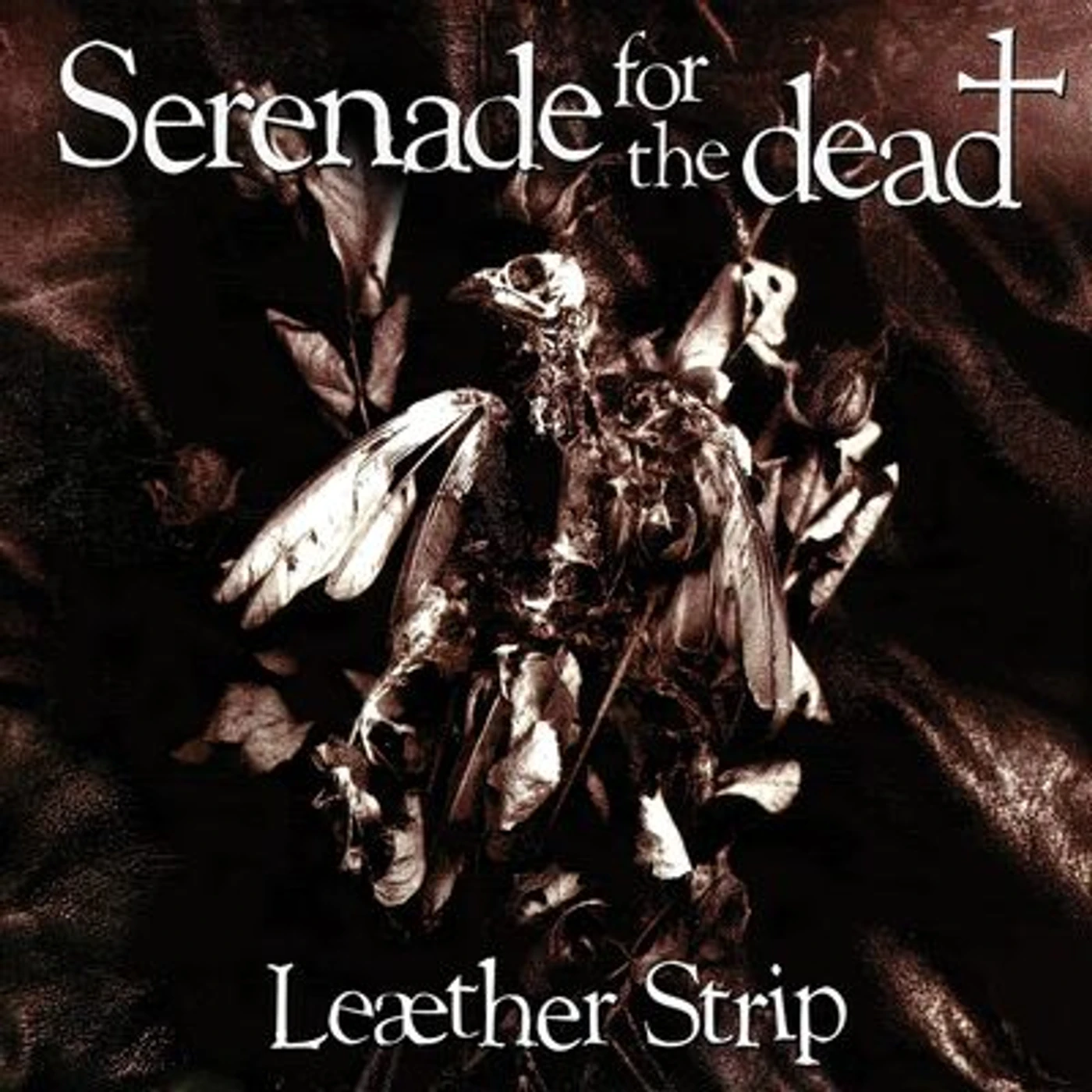 Leaher Strip