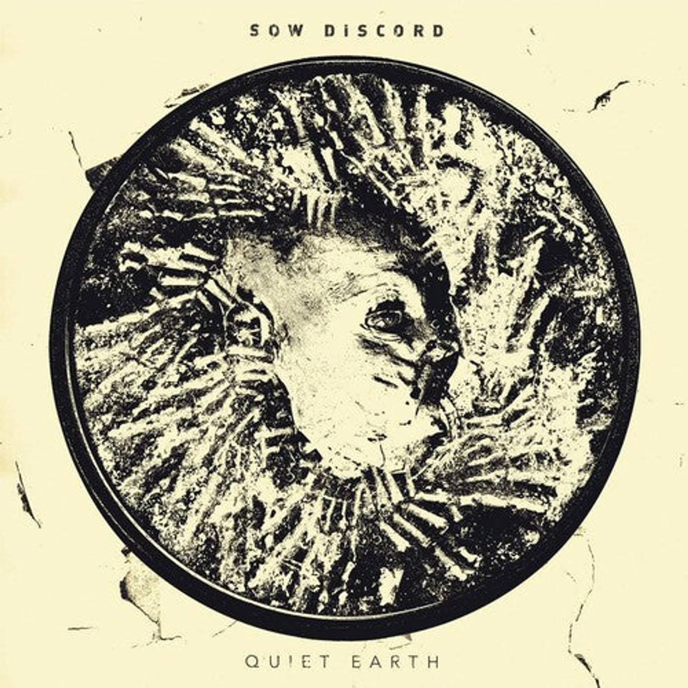 Sow Discord