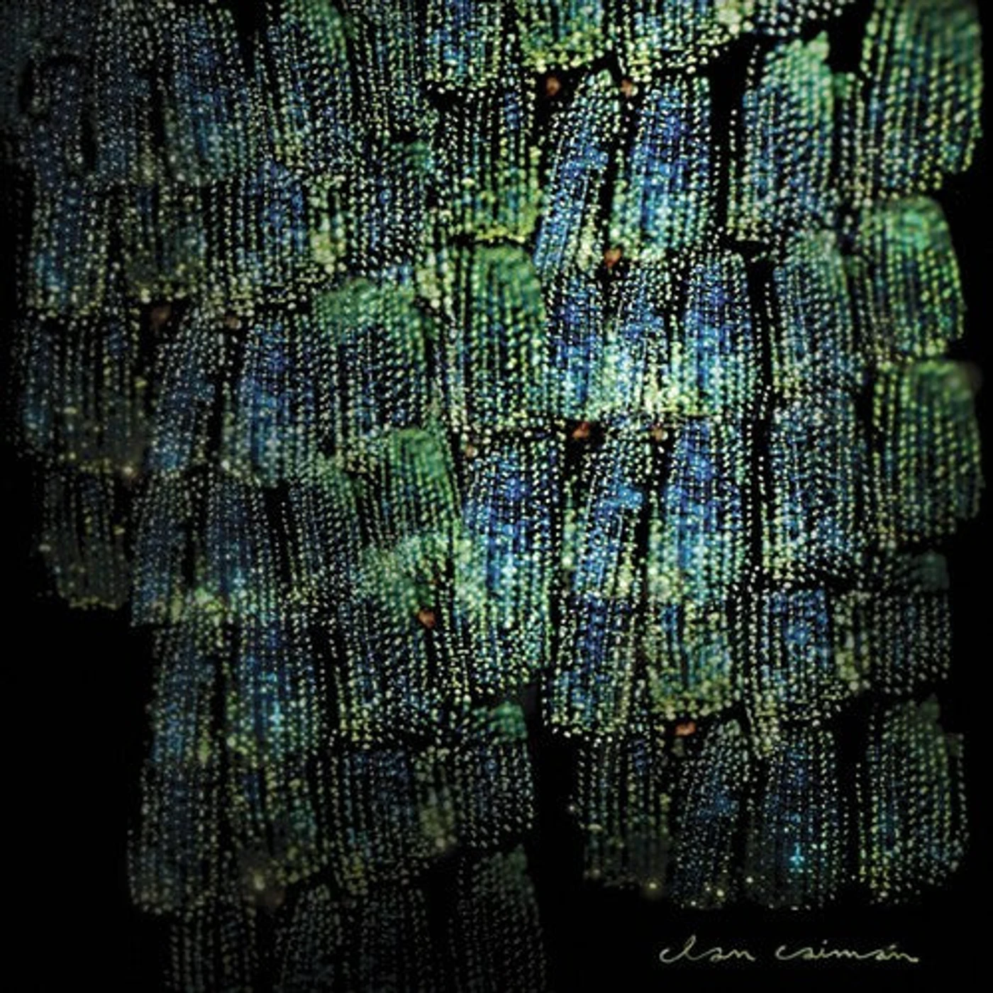Clan Caiman