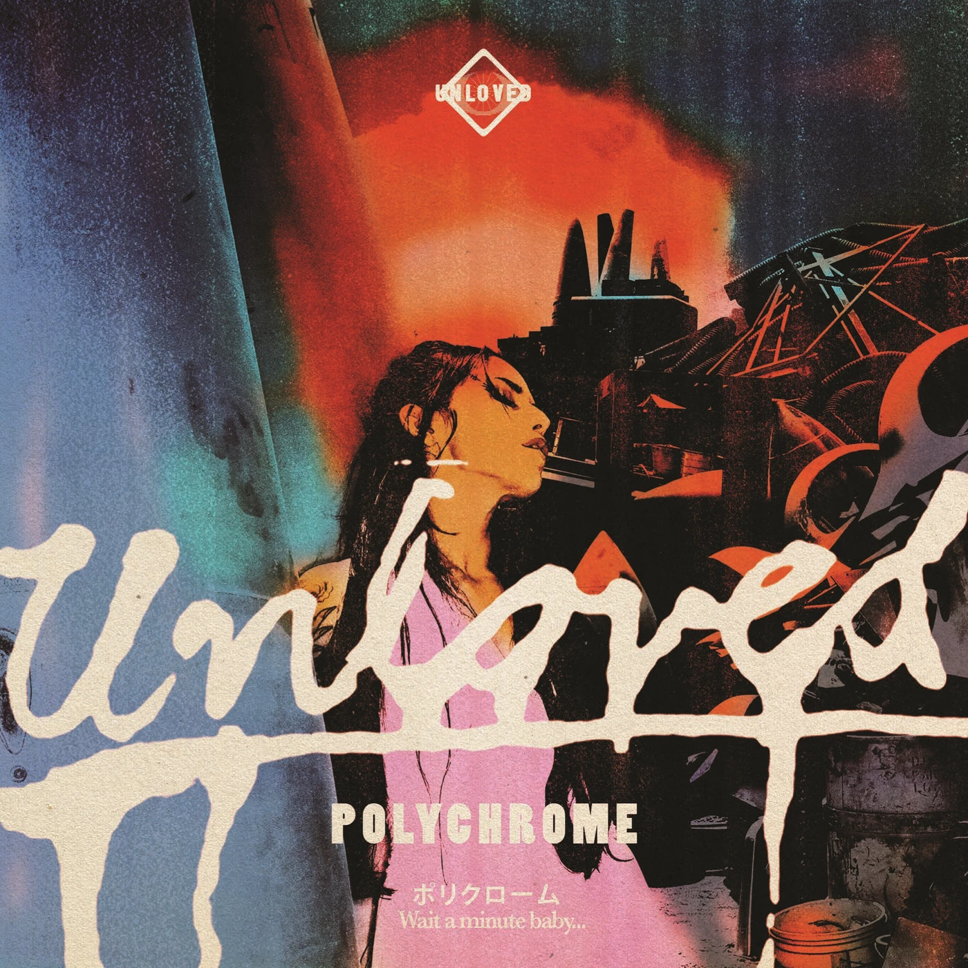 Unloved Polychrome   The Pink Album Postlude Vinyl Record