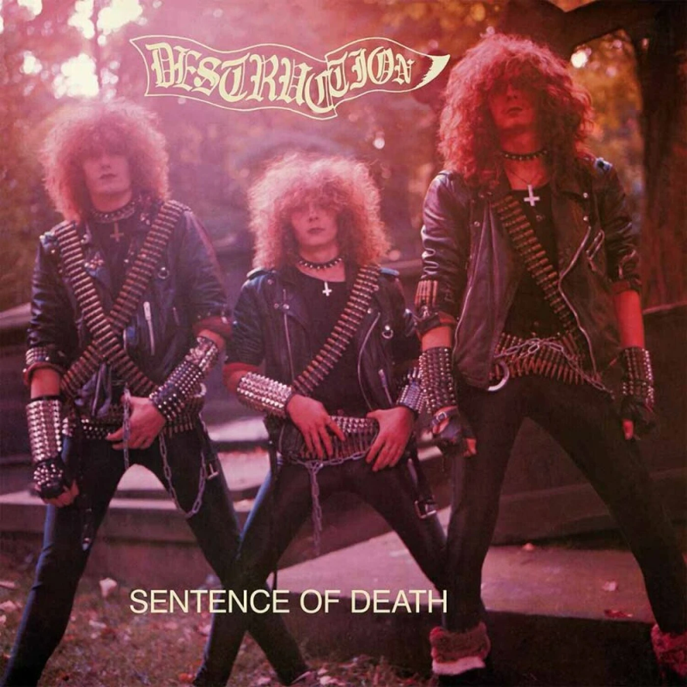 Destruction Sentence Of Death Vinyl Record