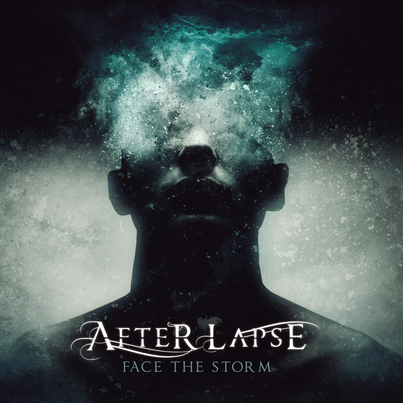 After Lapse Face The Storm CD