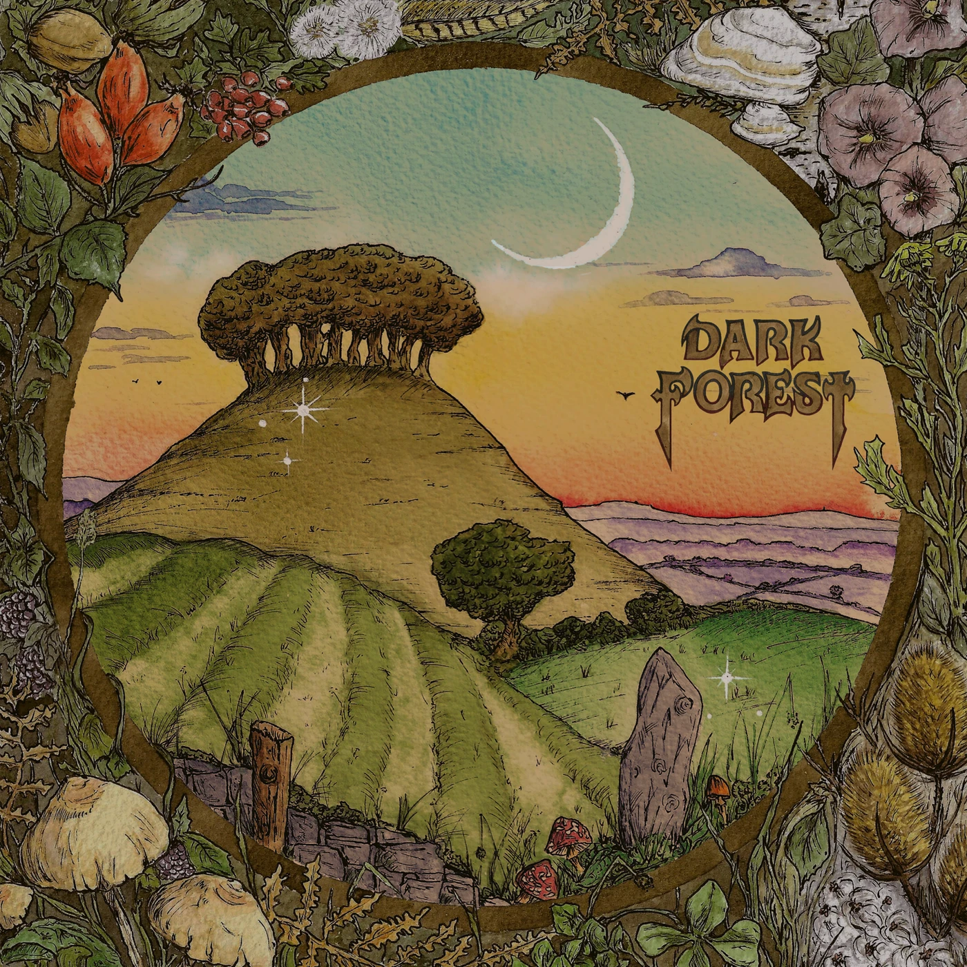 Dark Forest   Ridge & Furrow CD