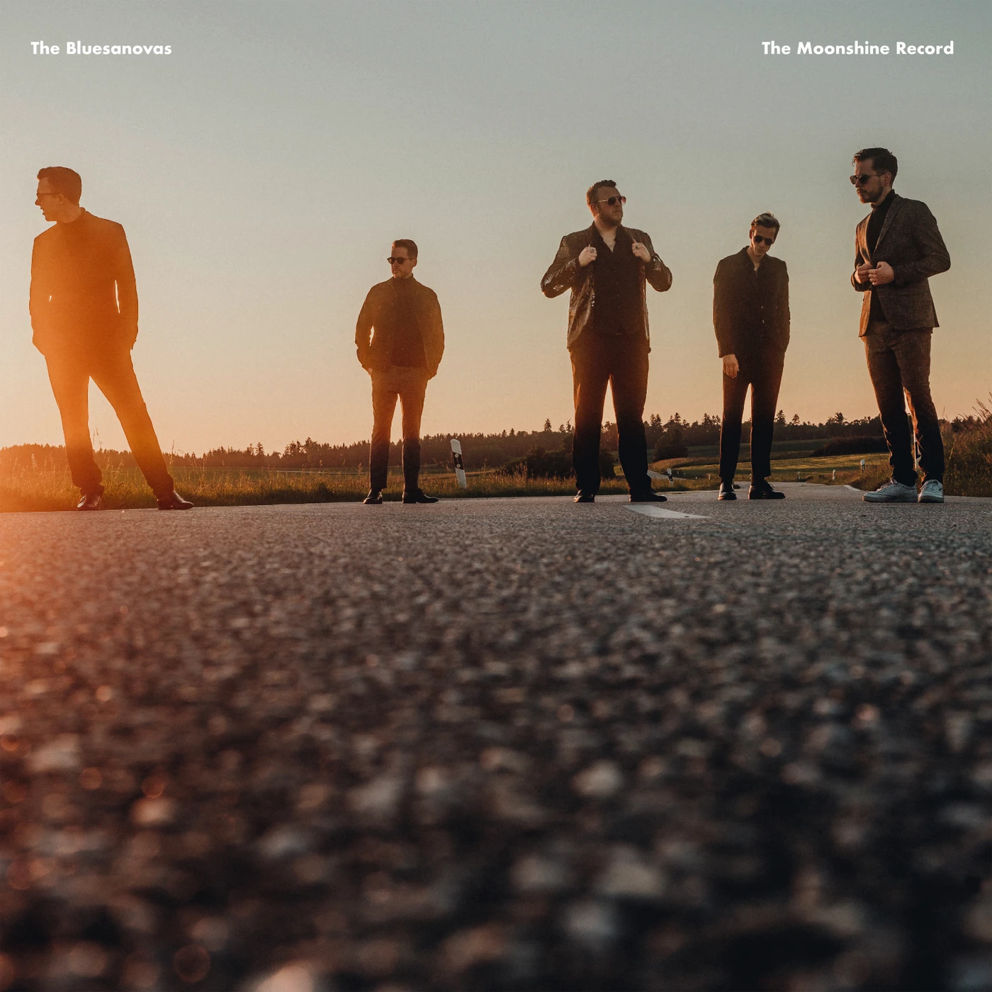 The Bluesanovas   The Moonshine Record Vinyl Record