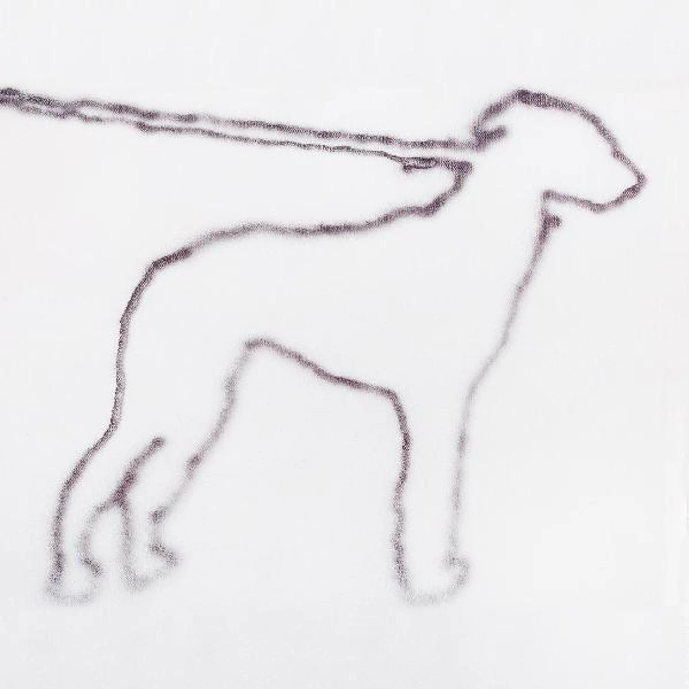 Jonah Yano PORTRAIT OF A DOG (DIGI PACK) CD