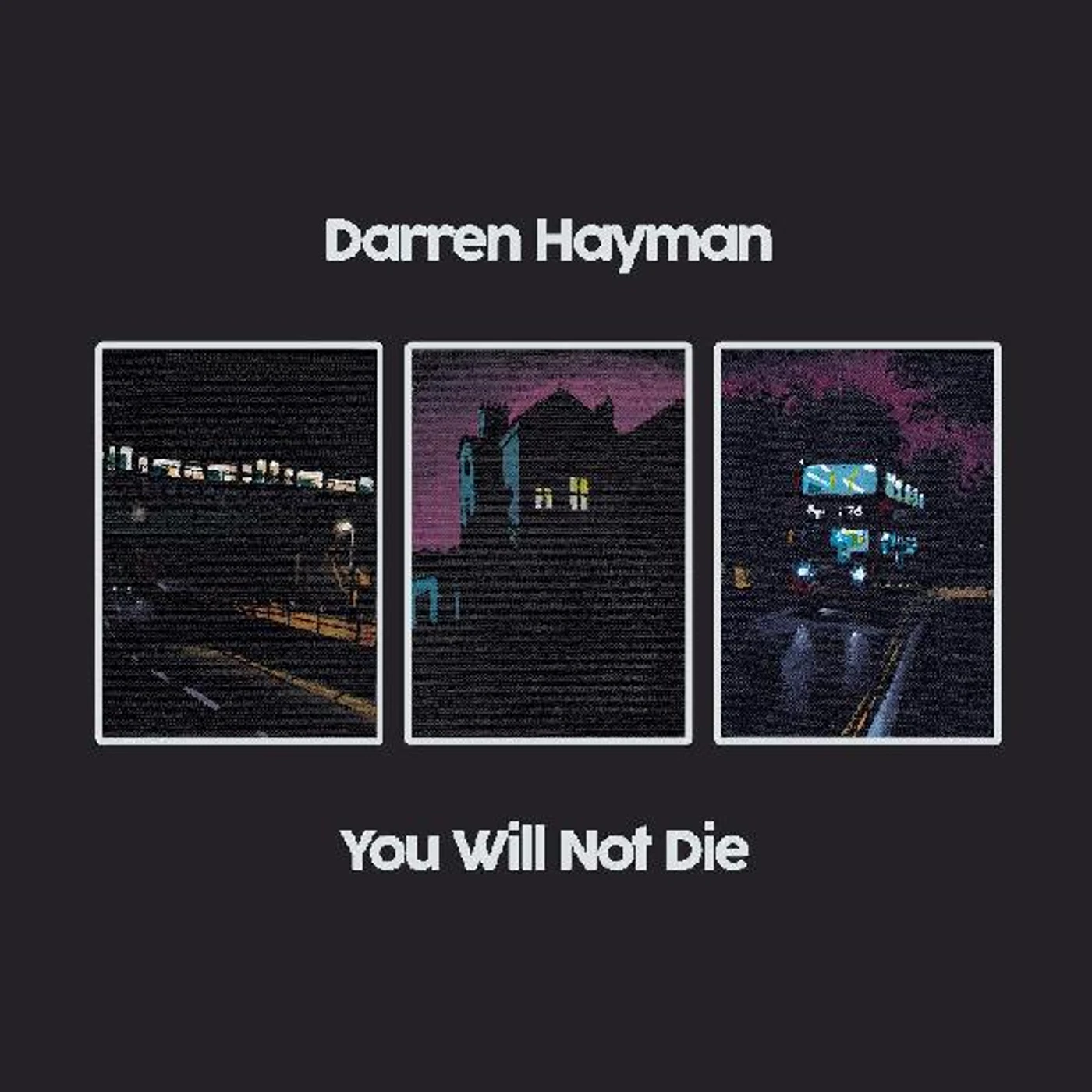Darren Hayman You Will Not Die Vinyl Record