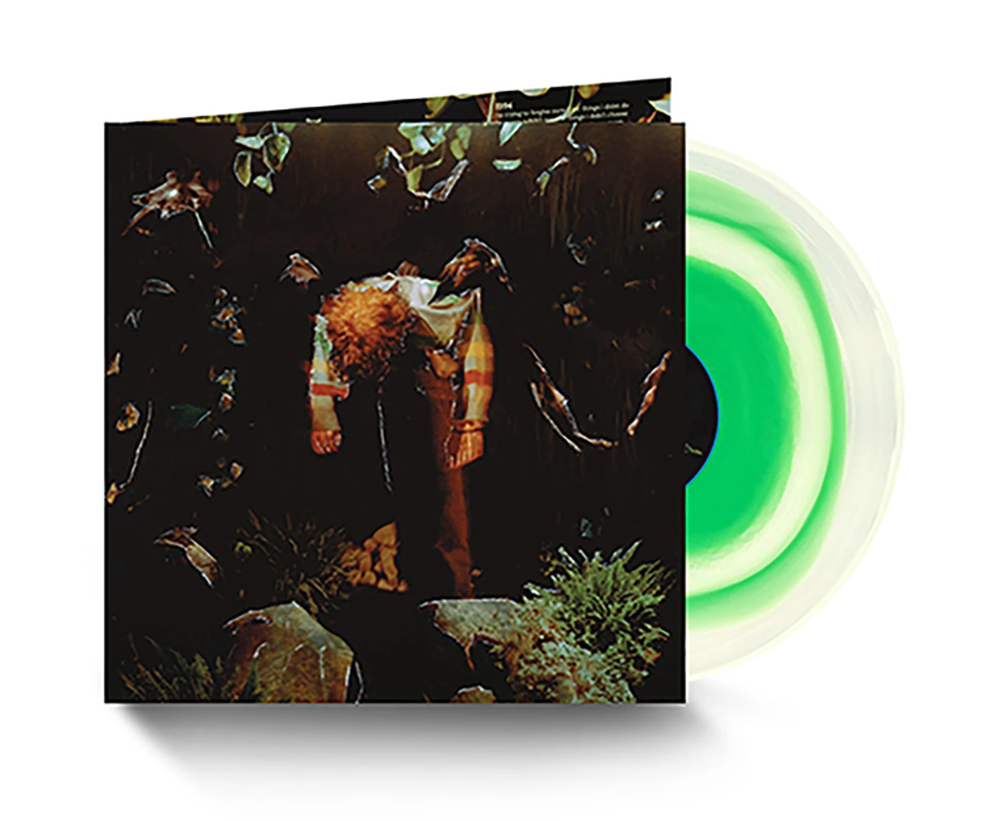 Cavetown Worm Food Vinyl Record