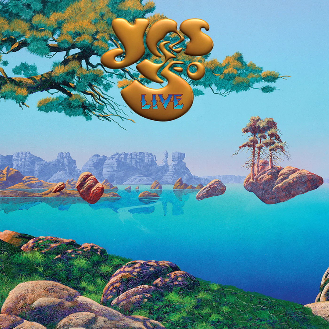 Yes 50 Live Vinyl Record