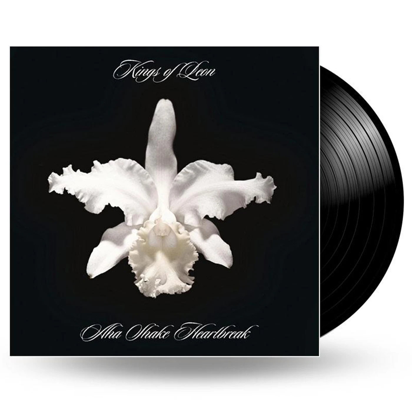 We Are Vinyl