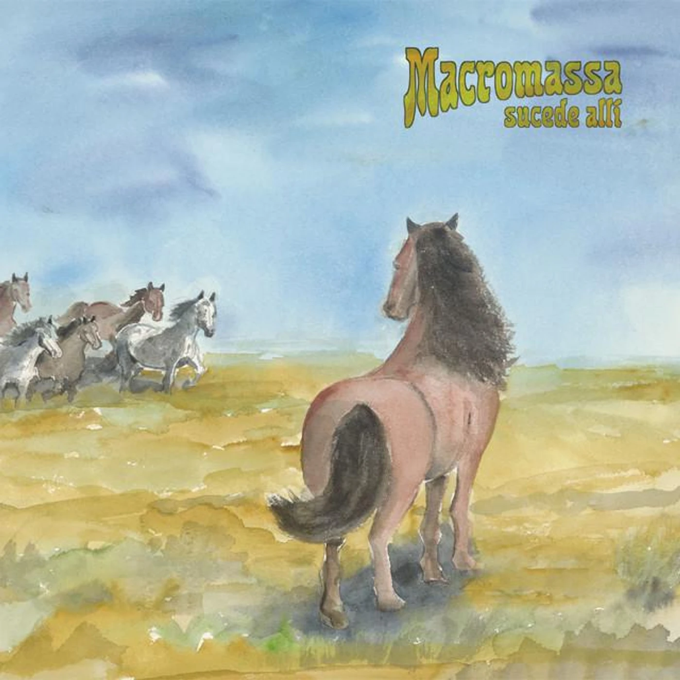 Macromassa