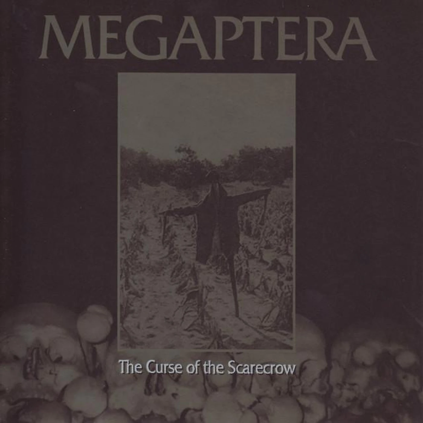 Megaptera